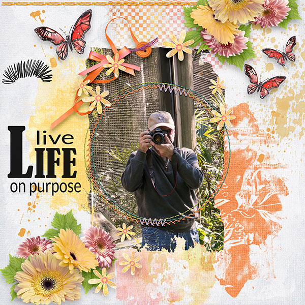 Live Life