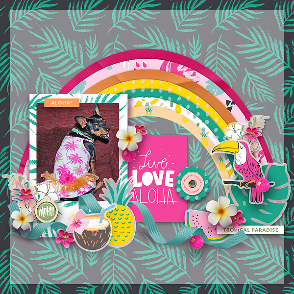 Live Love Aloha