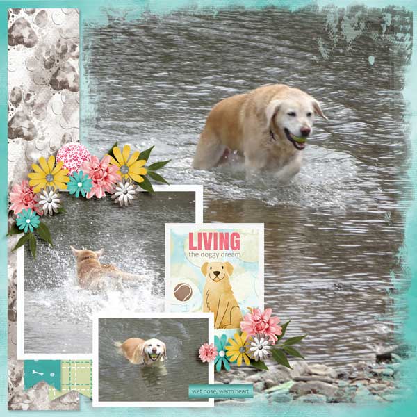live-love-bark-buzzbee-scra