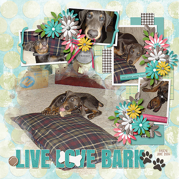 live love bark