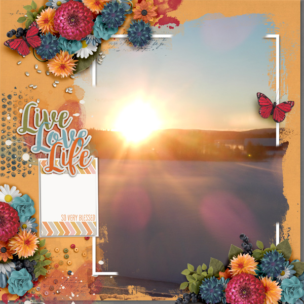 Live-love-life