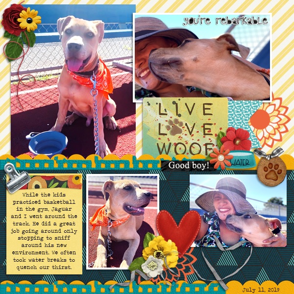 Live Love Woof