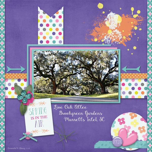 Live Oak Allee