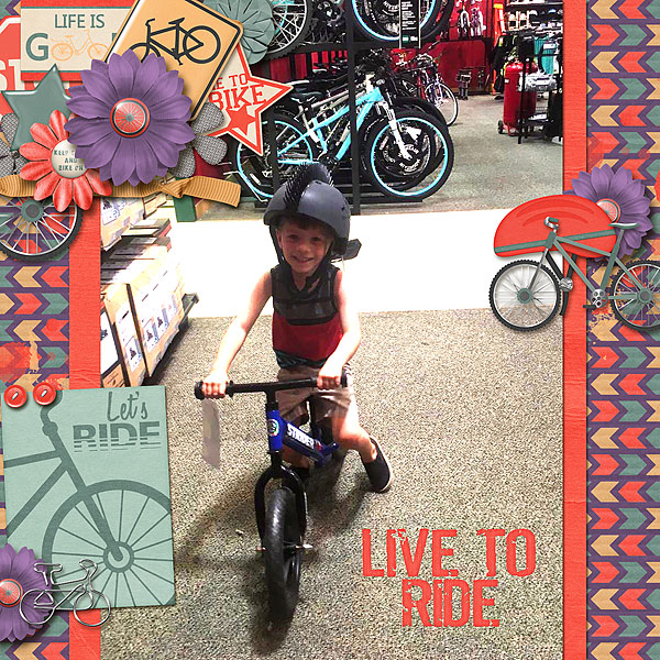 Live to Ride