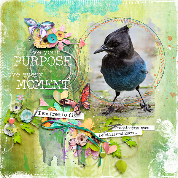 Live Your Purpose