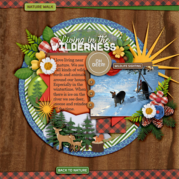 Living-in-the-wilderness