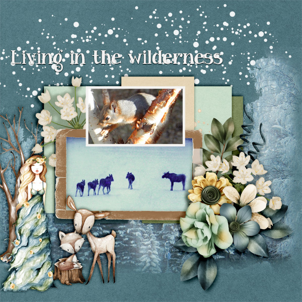 Living-in-the-wilderness1