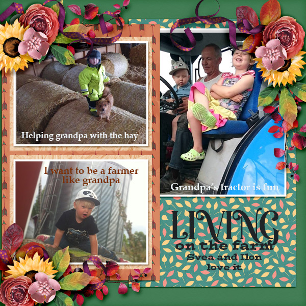 Living-on-the-farm