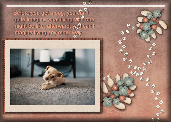 Living With a Dog