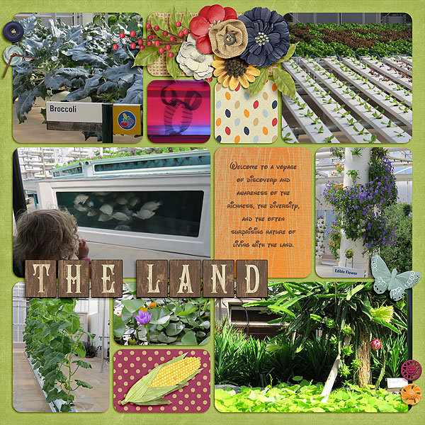 Living with the Land 2
