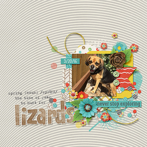 Lizard Season