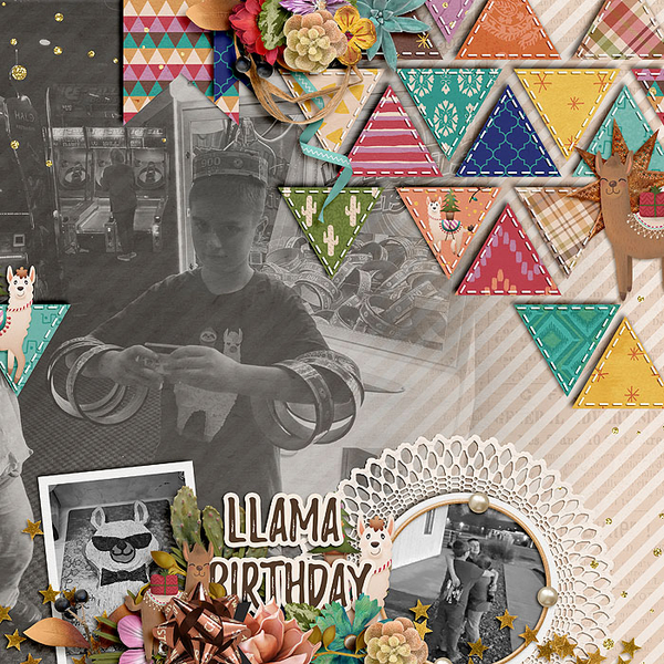 Llama Birthday