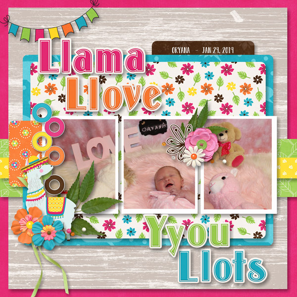 Llama Llove Yyou Llots