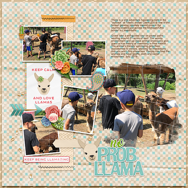 LLama Love