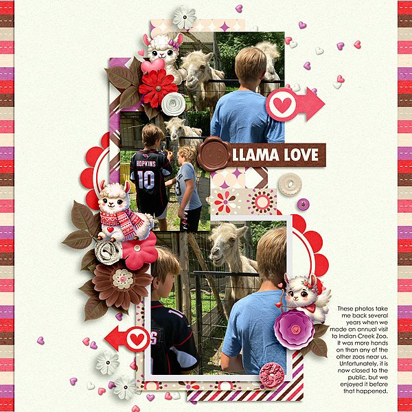 LLama Love