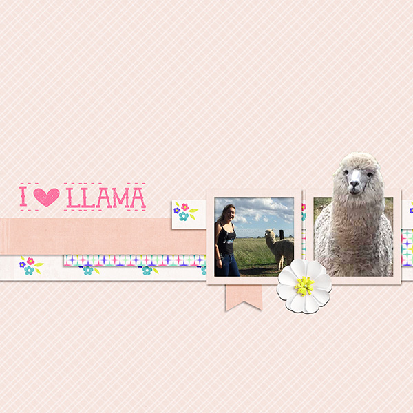 Llama