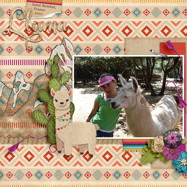 Llamas at France