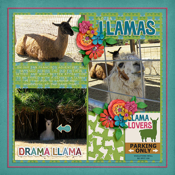 llamas