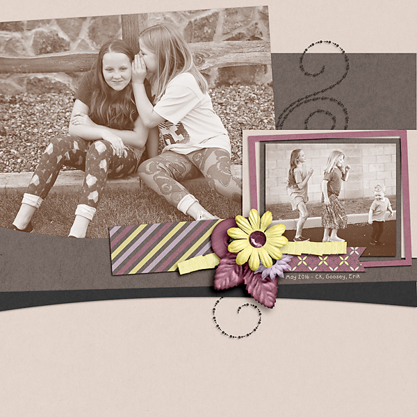LLR spring shoot