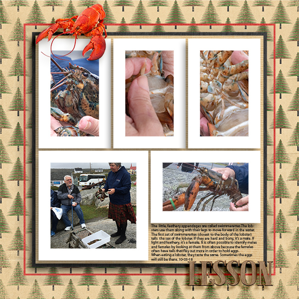 Lobster Lesson