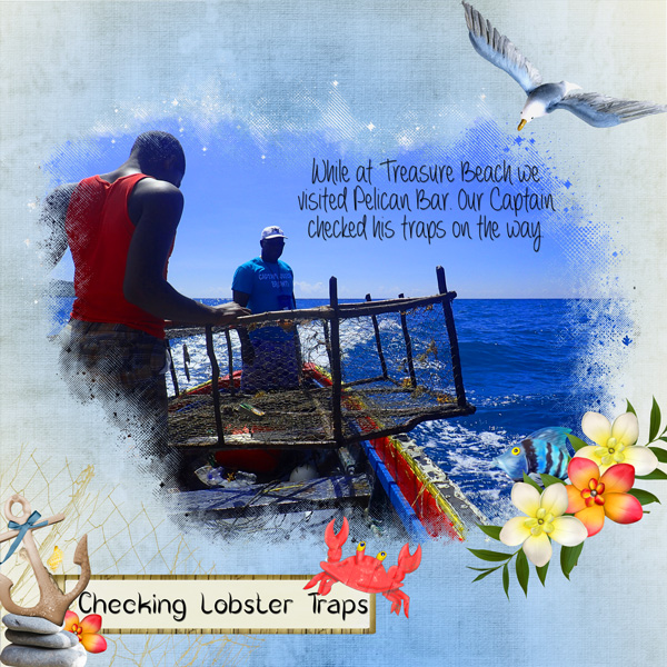 Lobster-traps