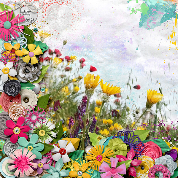 Lockdown flowers