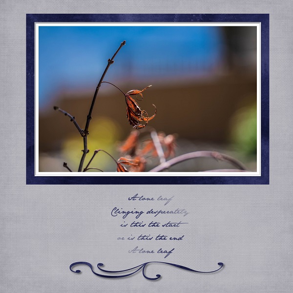 Lone Leaf