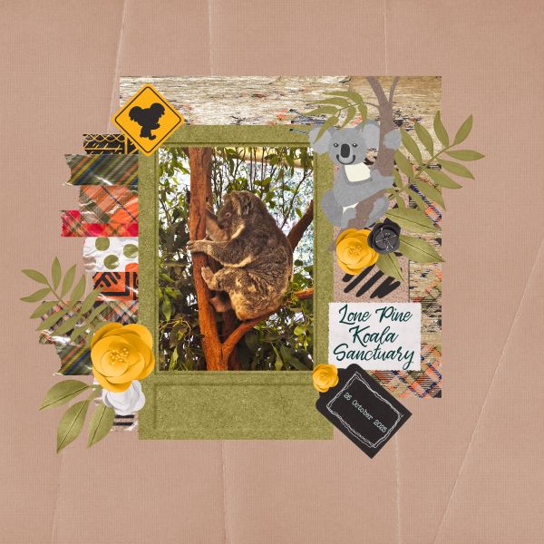 Lone Pine Koala Sanctuary