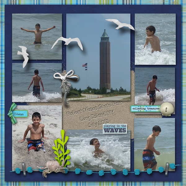 Long_Island_NY
