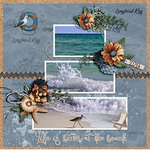 Longboat-rustic beach