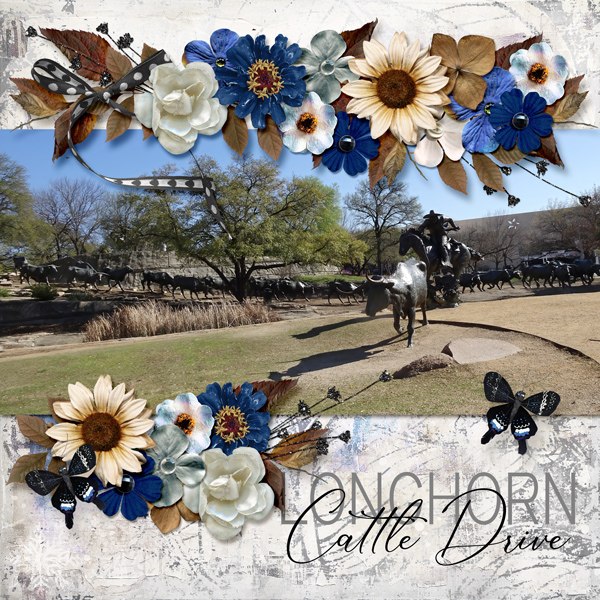 Longhorn Cattle Drive