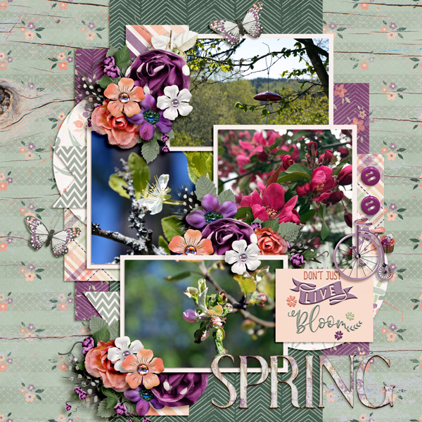 Longing for spring