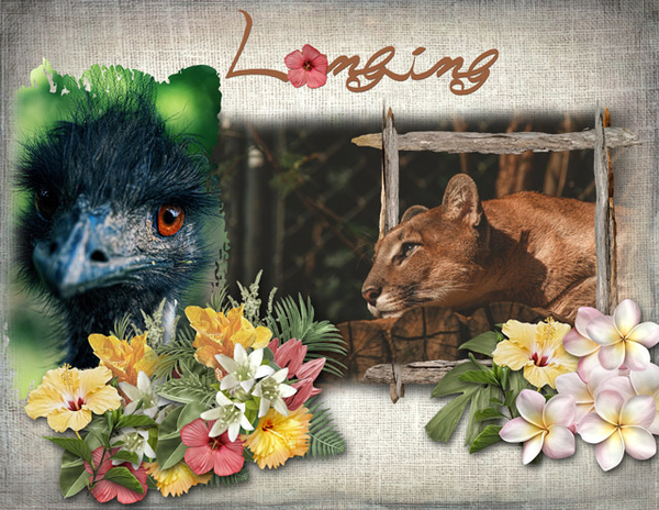 Longing