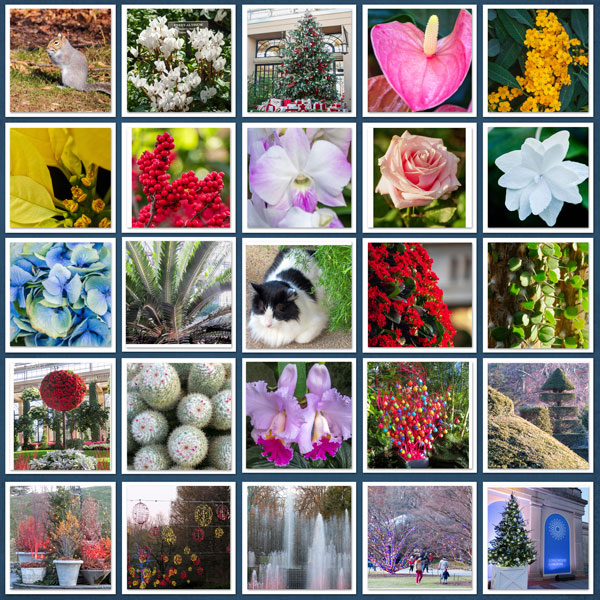 Longwood Gardens