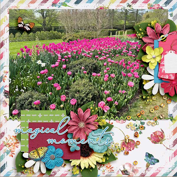 longwoodspring