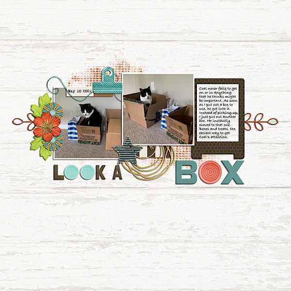 Look a Box - May Mojo Color