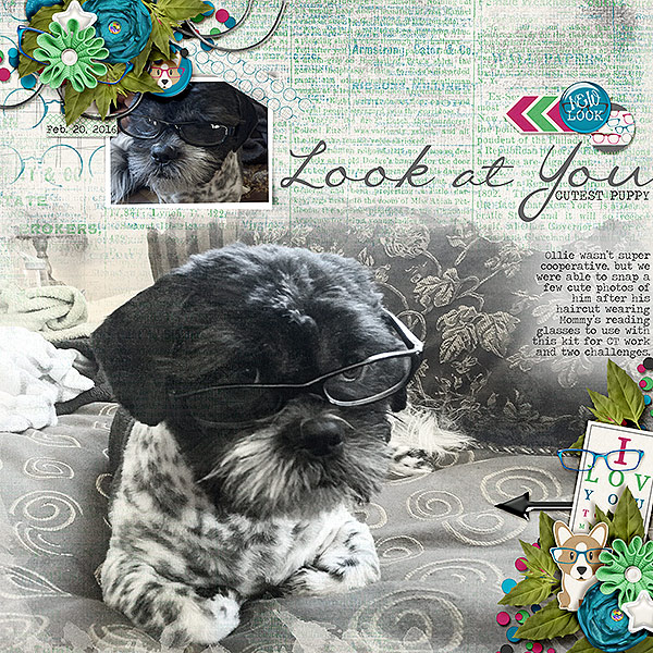 Look at You