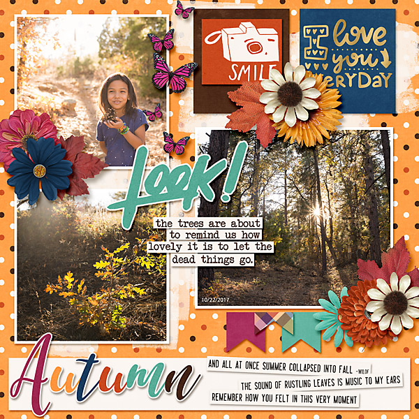 Look Autumn