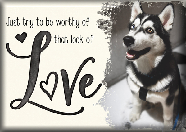 Look of Love