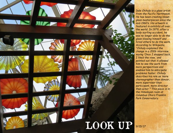 Look Up