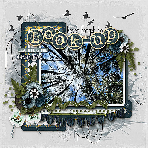 Look Up