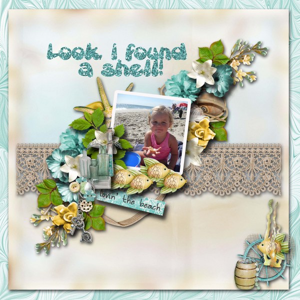 Look_I_found_a_shell