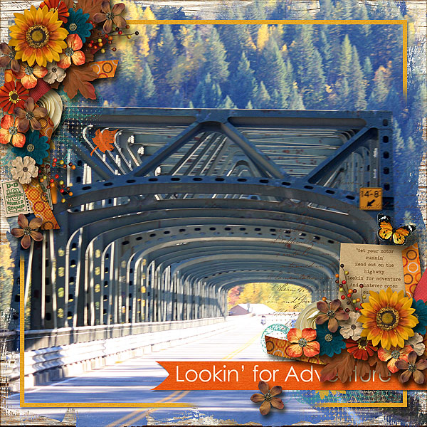 Lookin' for Adventure