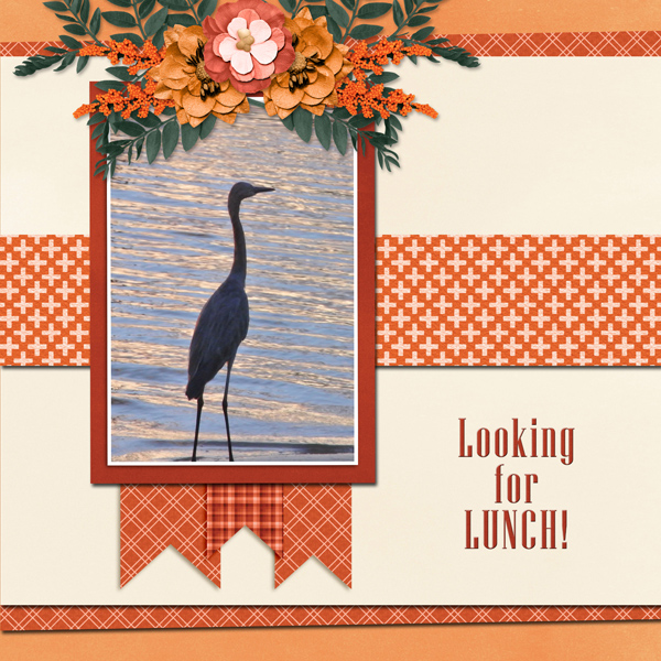 Lookin for LUNCH!