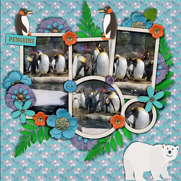 looking at the penguins