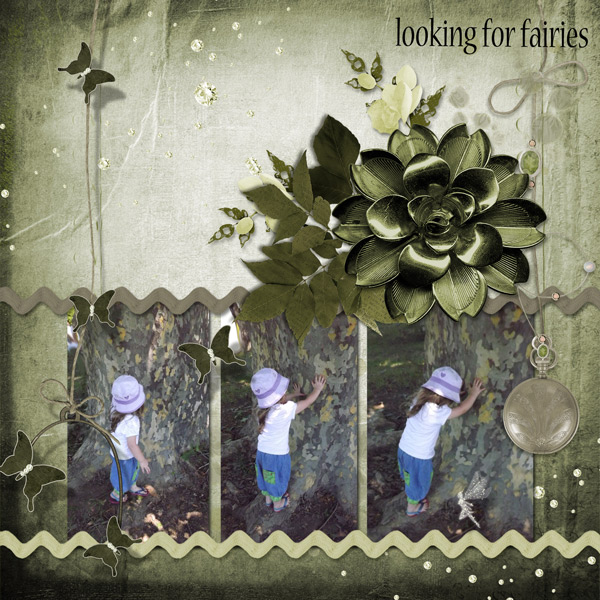 looking for fairies