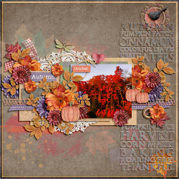 Looking For Fall