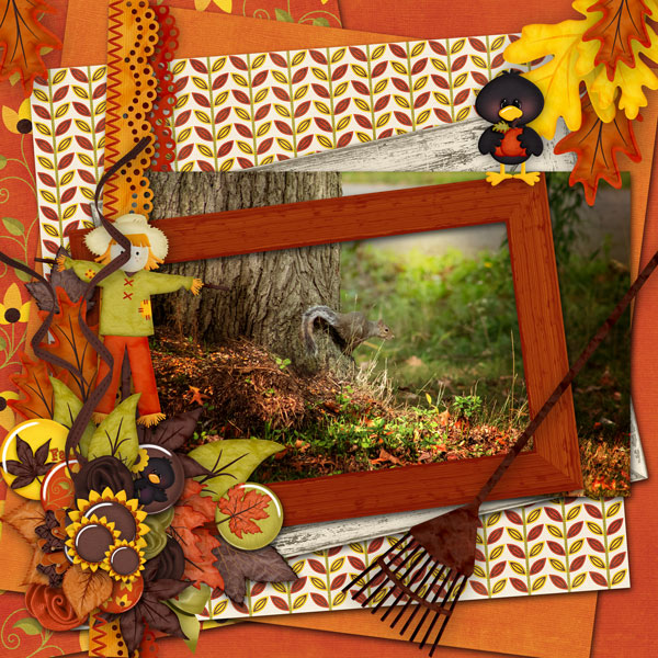 looking for fall