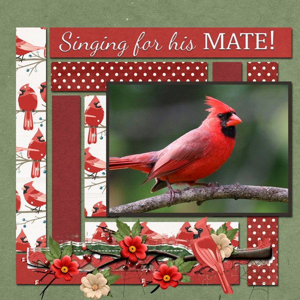 Looking for my MATE!