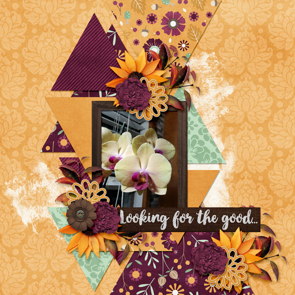 Looking For The Good